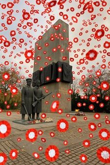 Kokarda narodowa #rozeta