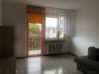 Kawalerka na wynajem Jaworzno Osiedle Stałe