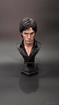 Vampire diaries : Damon Salvatore