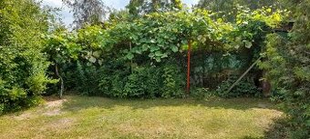 działka rekreacyjna