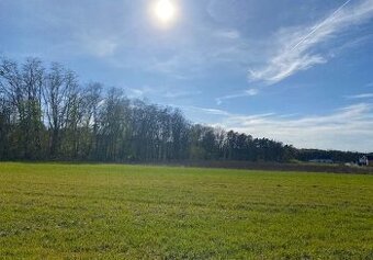 Działka budowlana o pow. 1597 m2, Śliwniki