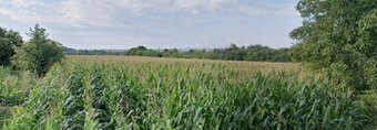 Działka budowlana na planie zagospodarowania – os. Chmielnik
