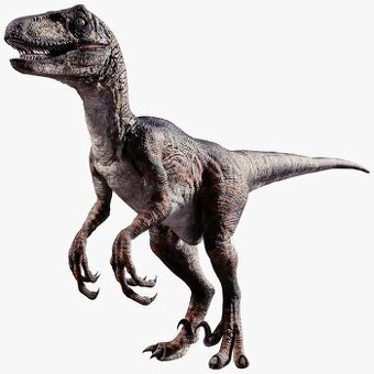 Sprzedam Dinozaura Raptor