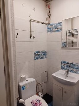 Wynajmę mieszkanie w Śródmieściu