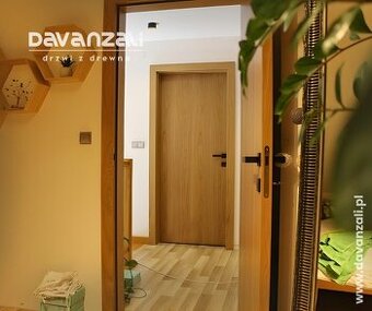 Producent drzwi drewnianych - drzwi wewnętrzne i wejściowe D
