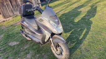 moto magnus t-rex