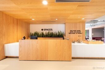 Odkryj wiele sposobów pracy na sposób w Spaces Platinium - 1