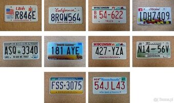 10x oryginalna tablica rejestracyjna USA