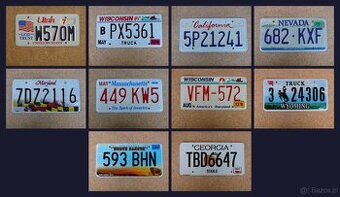 10x oryginalna tablica rejestracyjna USA