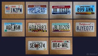 10x oryginalna tablica rejestracyjna USA