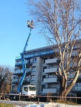 Kompleksowe ogrodnictwo, pielęgnacja i wycinka drzew