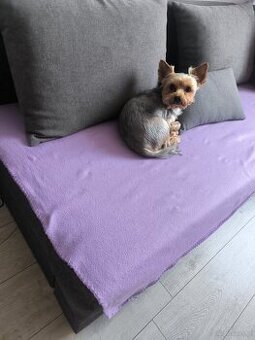 Krycie