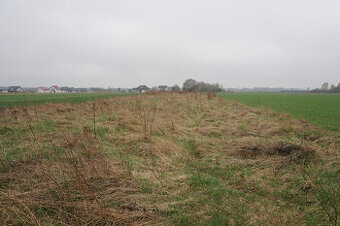 Syndyk sprzeda nieruchomość