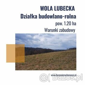 Wola Lubecka działka budowlano-rolna 1,20 ha , WZ