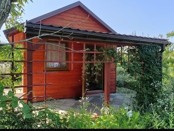 Urokliwa działka ROD "Kopernik"