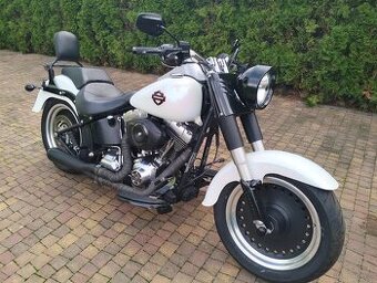 FAT Bob