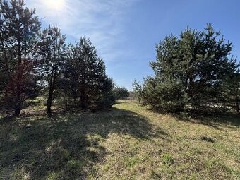 Działka w zielonej okolicy blisko Warszawy - Stasi Las