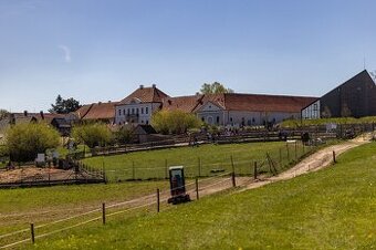 stajnie dla koni, źrebiąt i emerytów