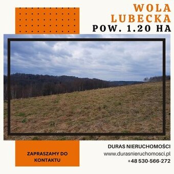 Wola Lubecka działka budowlano-rolna 1,20 ha , WZ
