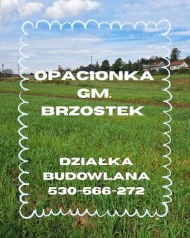 Opacionka gm. Brzostek działka budowlana 13 ar