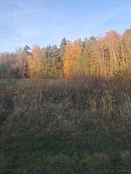 Działka budowlana z warunkami o pow. 1400m2, Dzierzbin – gm.