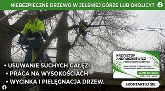 Wycinka Drzew i Kompleksowe Sprzątanie Ogrodów | Jelenia Gór