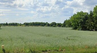Na sprzedaż działka budowlana 14 ar – Suszno, ul. Różaniecka