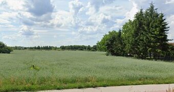 Działka budowlana 10 arów – Suszno, ul. Różaniecka