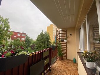 Sprzedam 3 pokojowe mieszkanie 61m Przemyśl