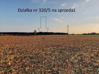 działka budowlana, 0,3300 ha, Mirakowo (gm. Chełmża)
