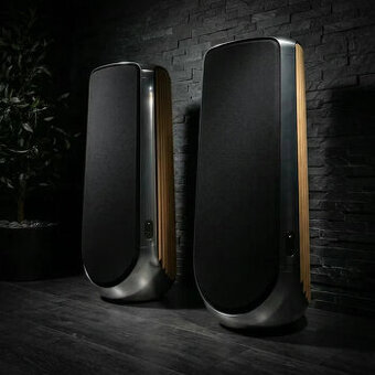 Bang & Olufsen B&O BeoLab 50