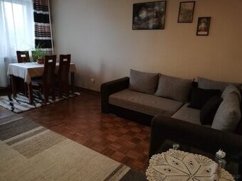 Mieszkanie do wynajęcia