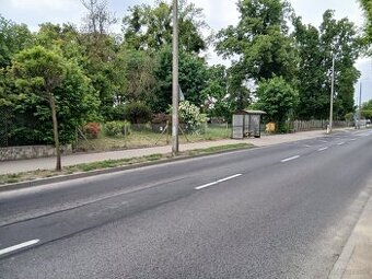 Dom z działką