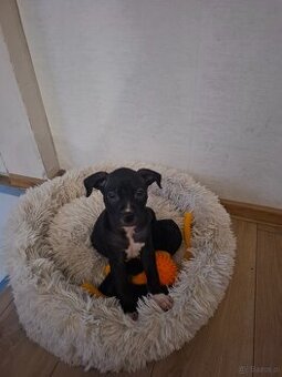 Gotowe do zmiany domku