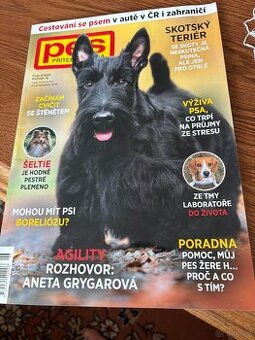 Skotský teriér - scottish terrier