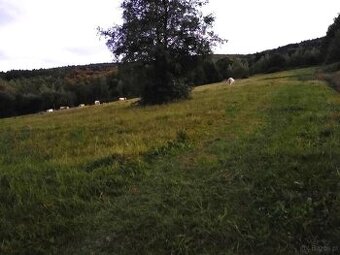 Działka w Beskidzie Niskim- Twoje miejsce na relaks i spokój