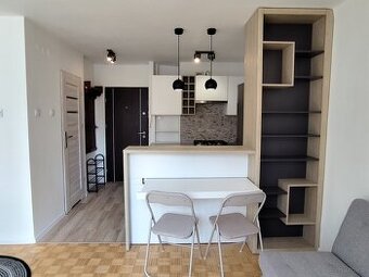 Kawalerka na wynajem w Centrum Warszawy