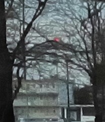 Obraz foto