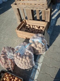 Sprzedam ziemniaki sadzeniaki