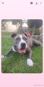 Gotowe do nowych domkow