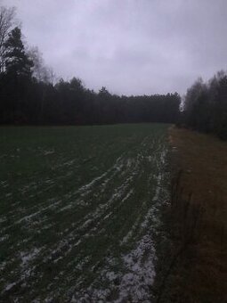 Działka budowlana z drogą o pow. łącznej 5900 m² – Saczyn