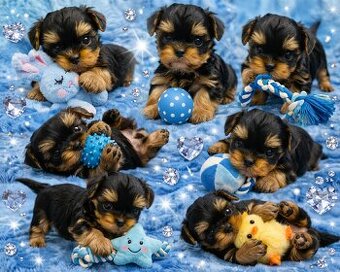 York Mega Piękny Luxusowy. Cudna Buzia.