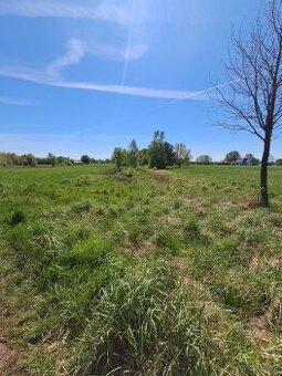 Działka budowlana o powierzchni 2800m2, Borek