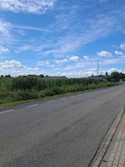 Działka rolno-inwestycyjna o powierzchni 4,03 ha, Blizanówek