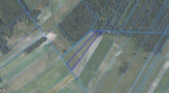 Działka rolna, 1,50 ha, gm. Stary Brus, Zamołodycze