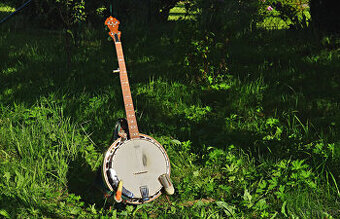 Sprzedam banjo 5-strunowe (system Gibson)