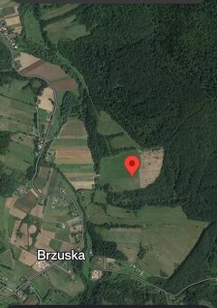 Działka rolna 28 ha.