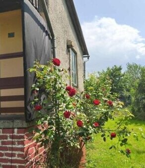 ROD "Strumyk" Tarnów