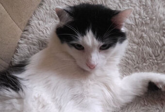 Długowłody słodziak Funio 11 mies.