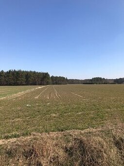 Działki budowlane o pow. 1200 i 1400 m2, gm. Ceków-Kolonia